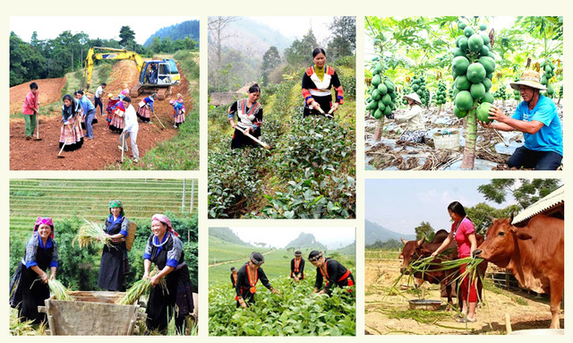 Nhiều giải pháp để hỗ trợ huyện M’Drắk thoát khỏi tình trạng nghèo, đặc biệt khó khăn 